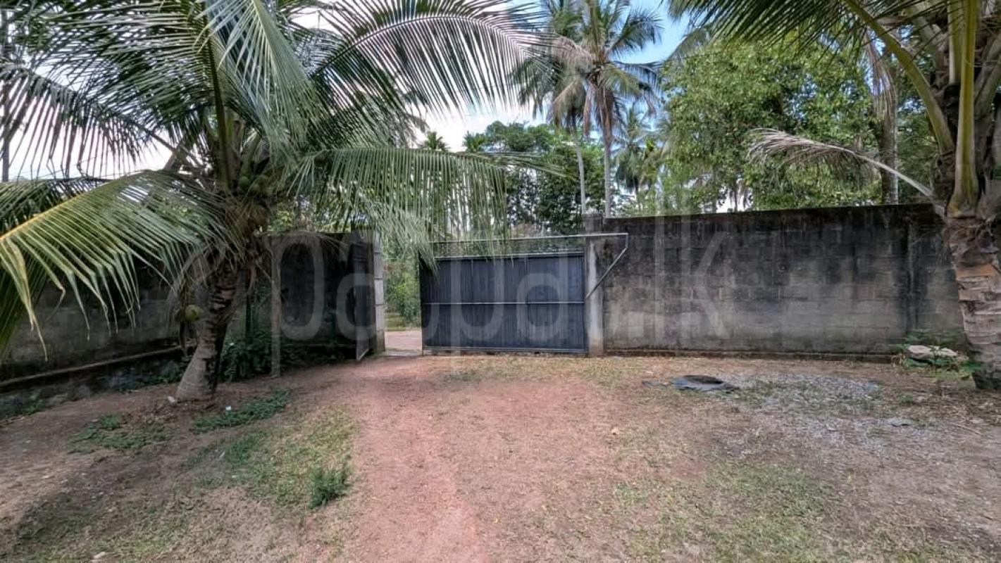 Commercial Land for Sale in Avissawella