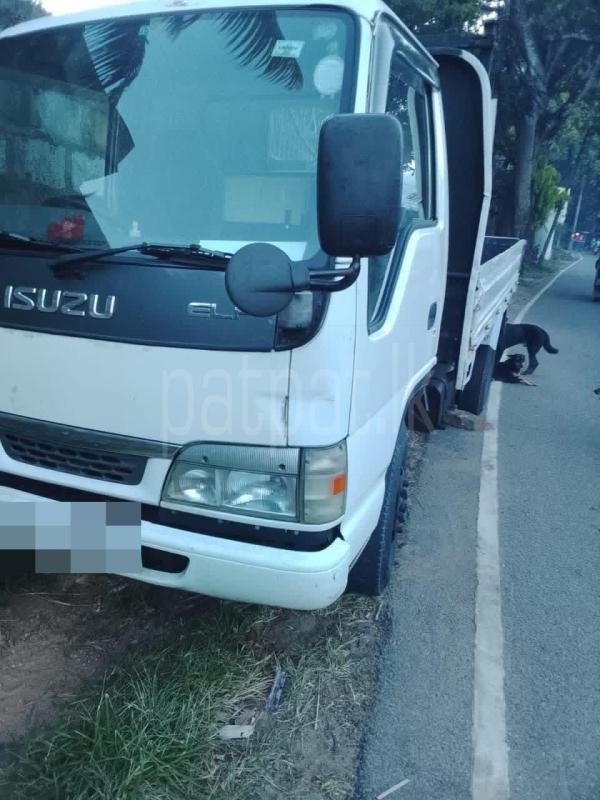 Isuzu ELF 2000 - Used Truck sale in Sri Lanka - patpat.lk