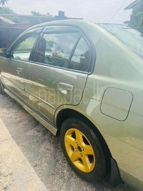 Advertisement image 3