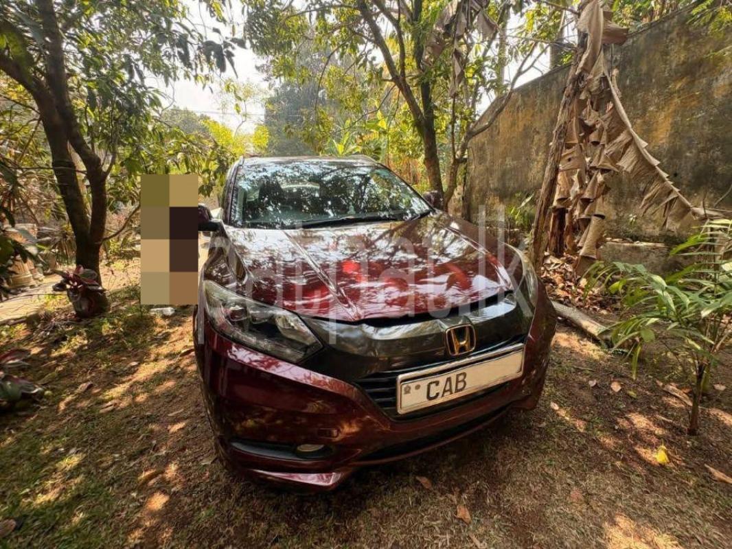 Advertisement image 1