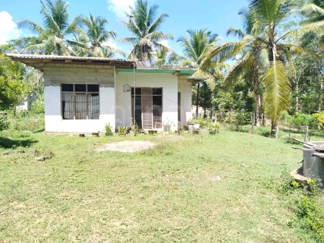 House for Sale in Dompe
