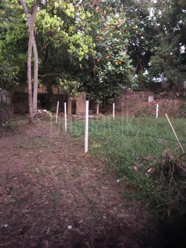 Agricultural Land for Sale in Nawala