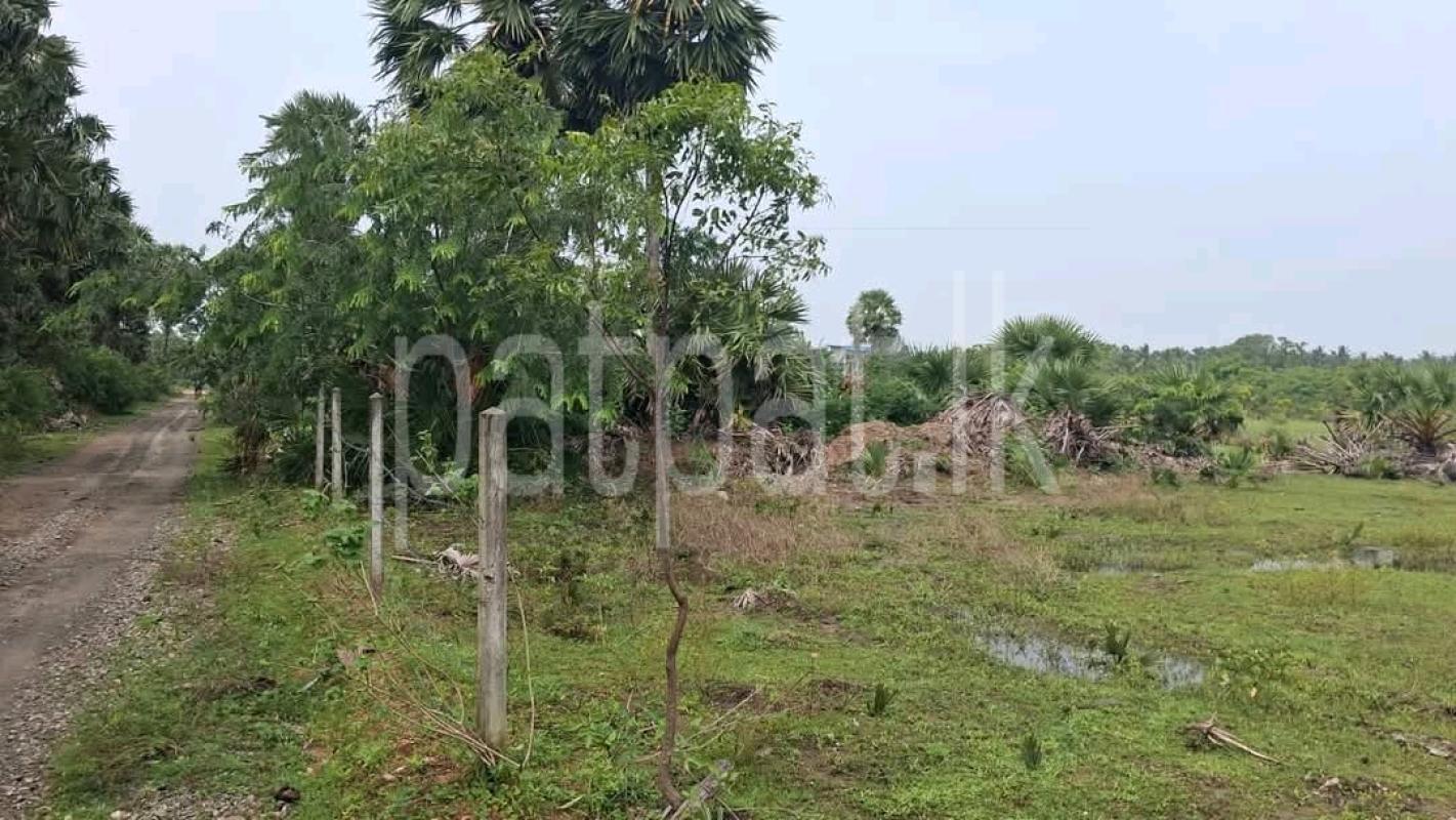 Agricultural Land for Sale in Maho ads-image-1