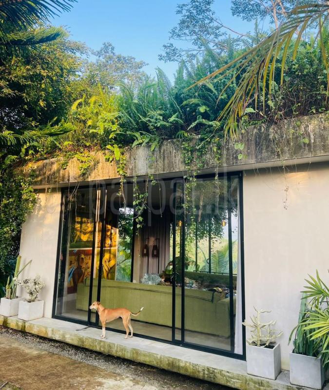 Hotel for Sale in Wanduramba