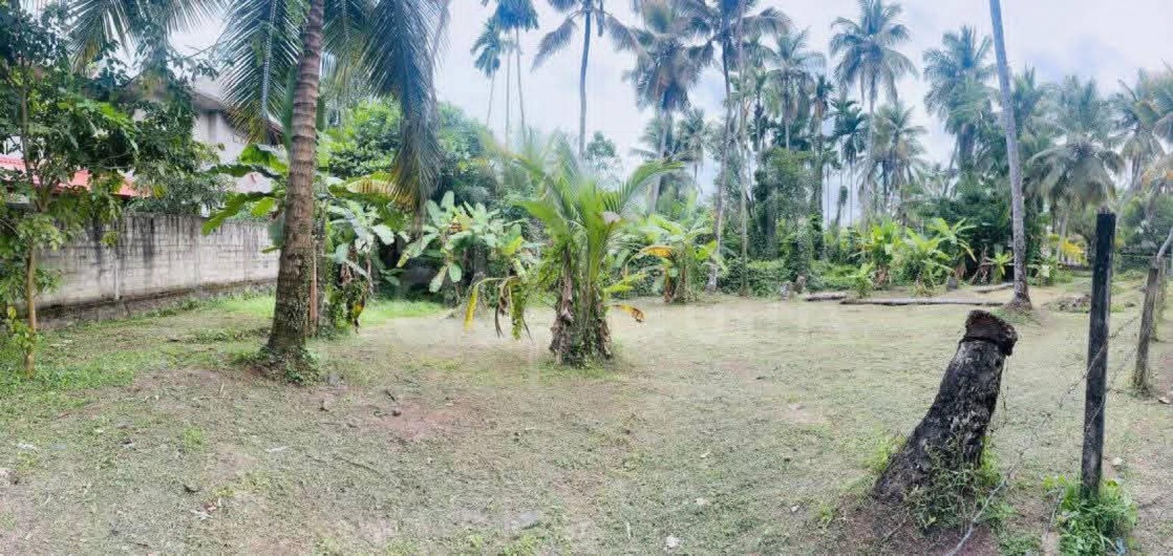 Residential Land for Sale in Ja-Ela