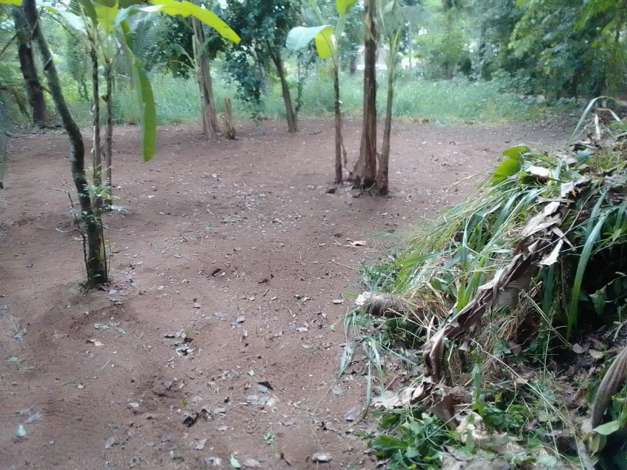 Residential Land for Sale in Seeduwa