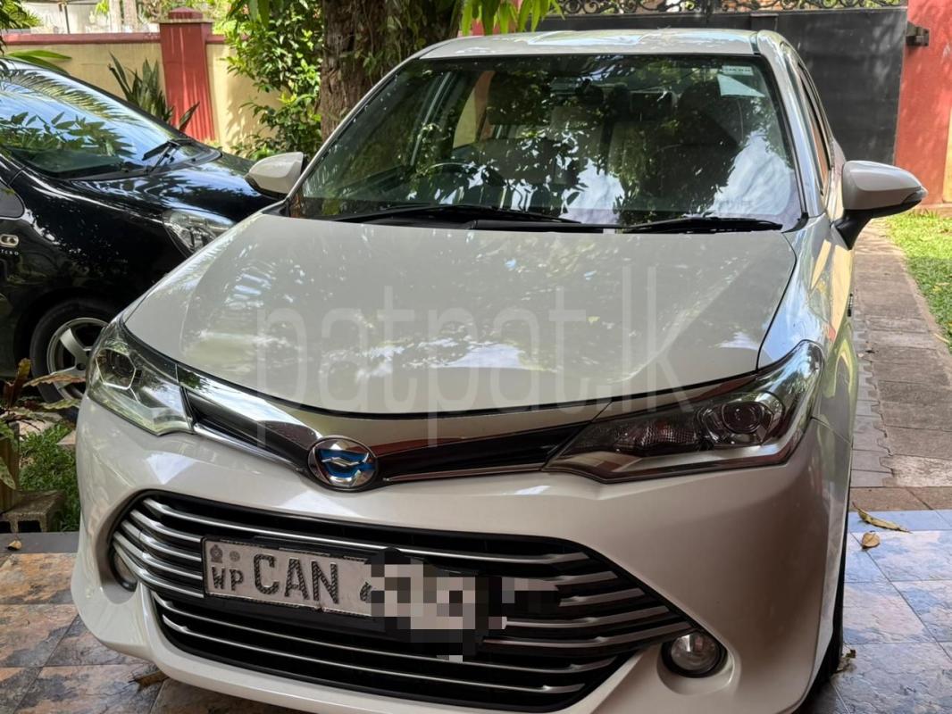 Advertisement image 1