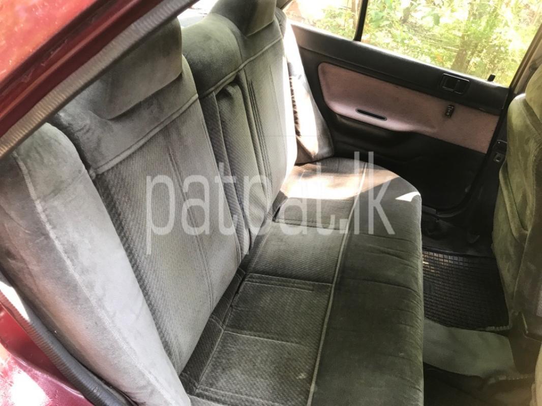 Advertisement image 6