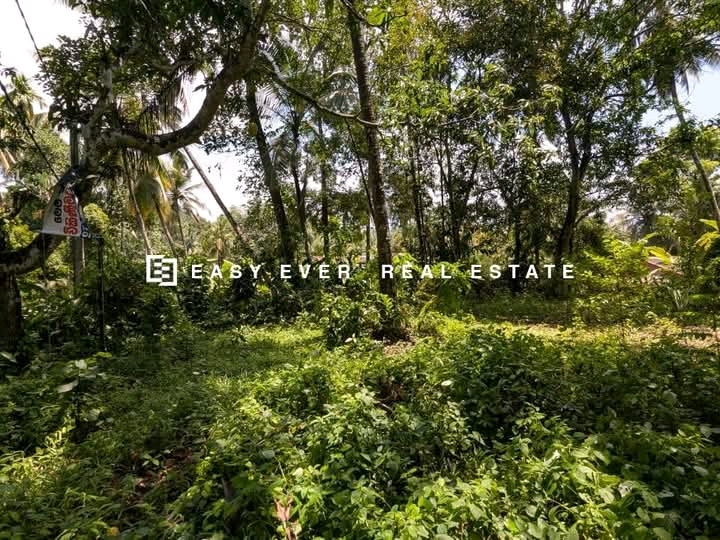 Commercial Land for Sale in Kadawatha