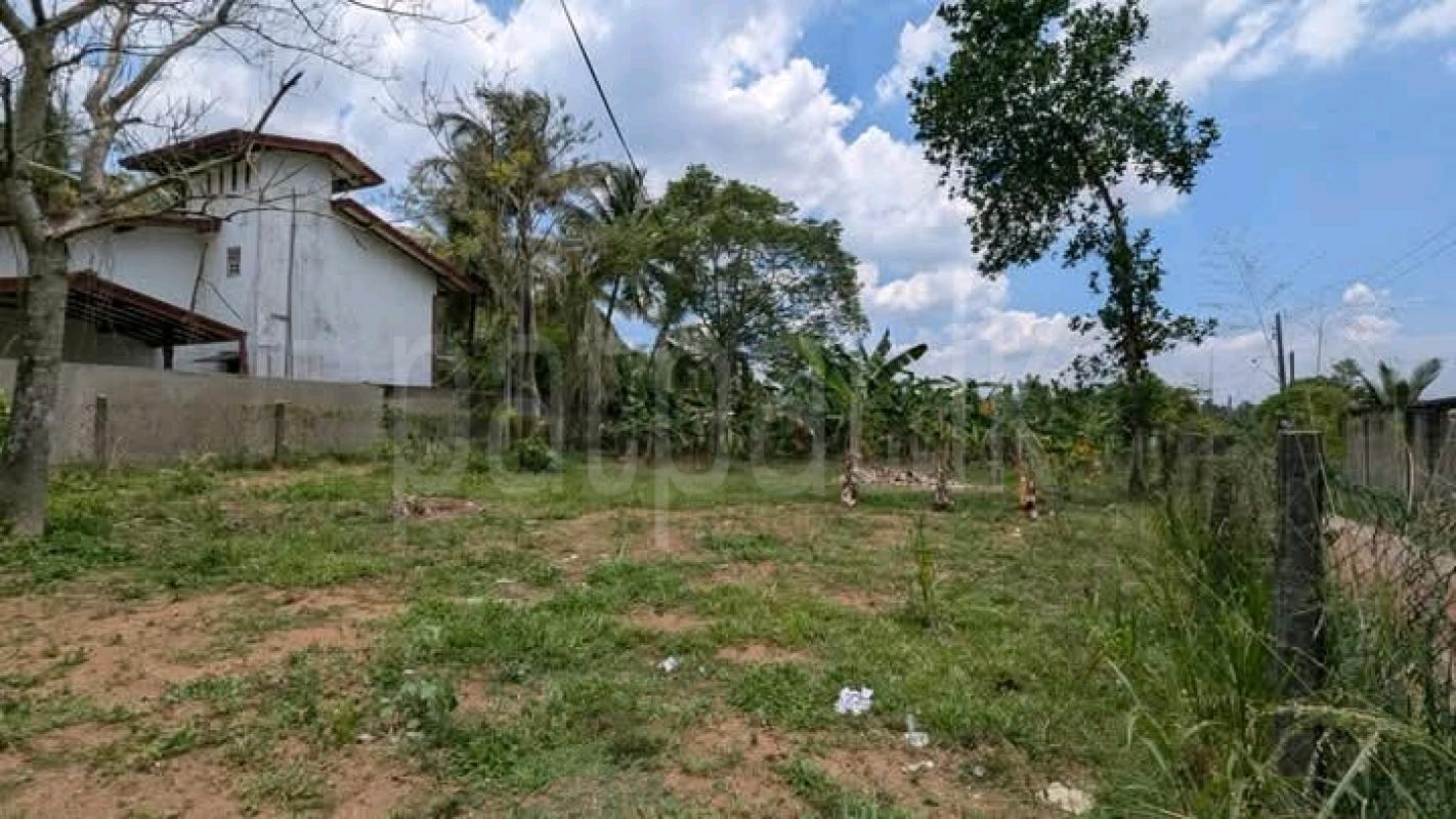 Commercial Land for Sale in Gampaha