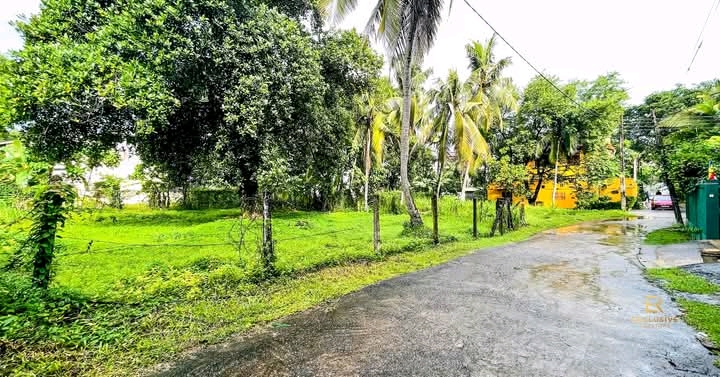 Commercial Land for Sale in Pelawatta