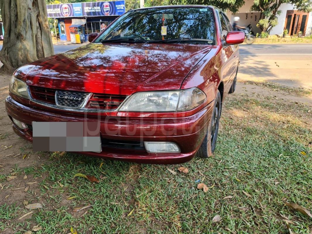 Advertisement image 1