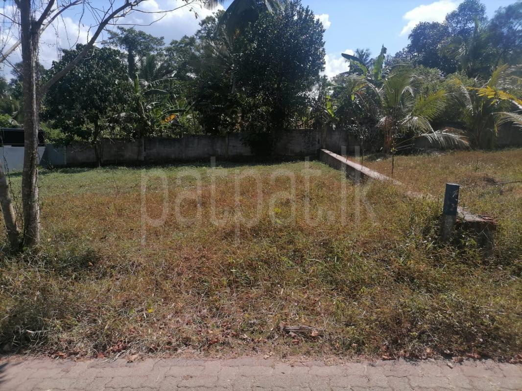 Commercial Land for Sale in Ambepussa