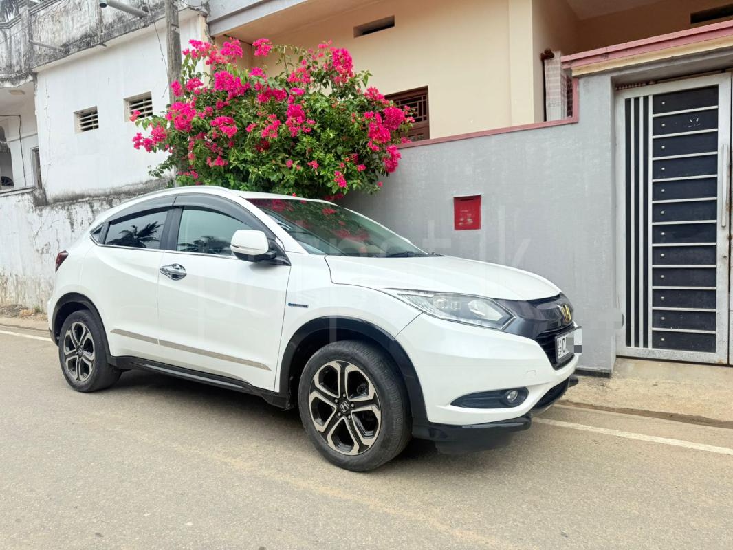 Advertisement image 1