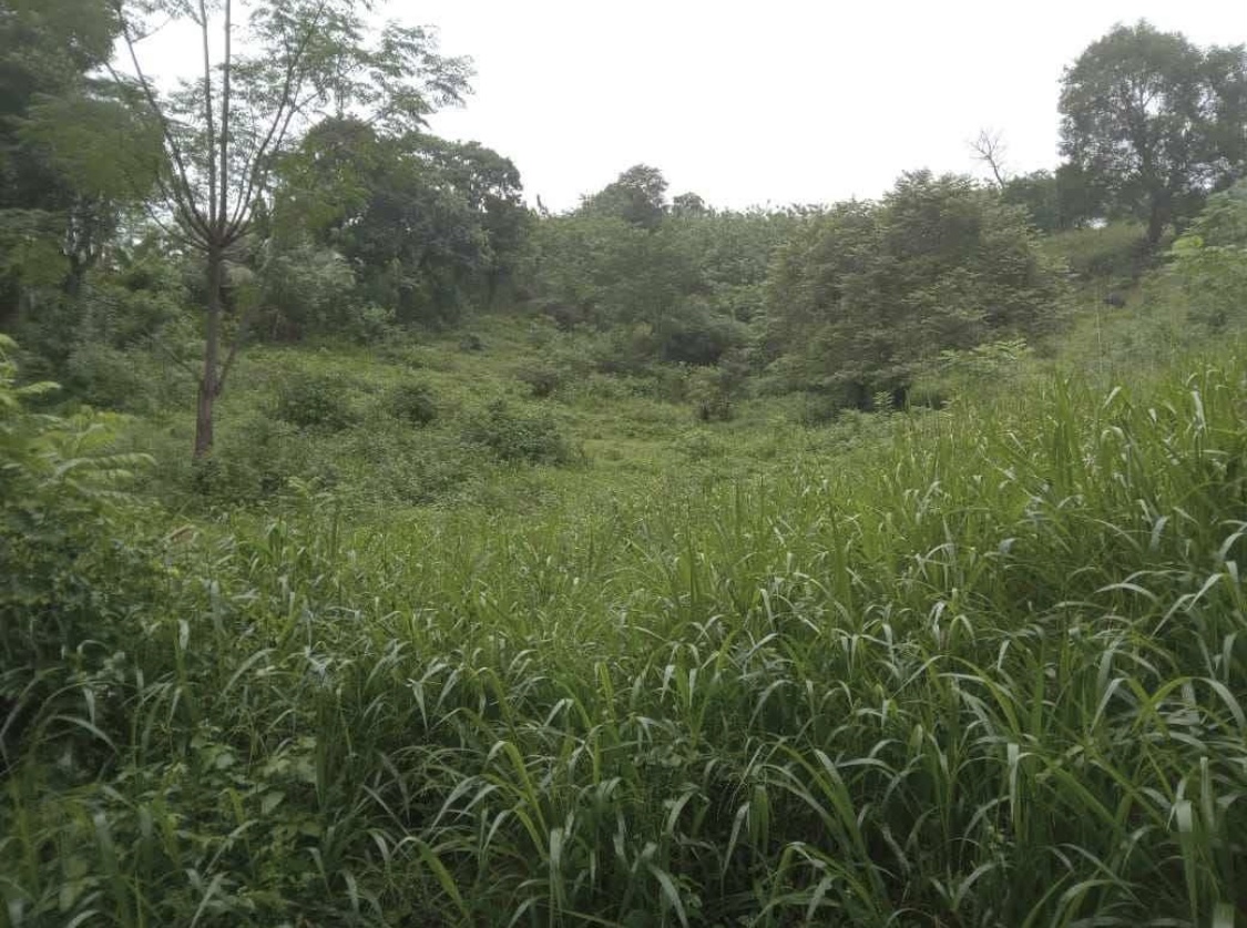 Commercial Land for Sale in Kundasale