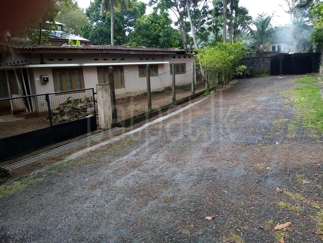 premium-listing-image