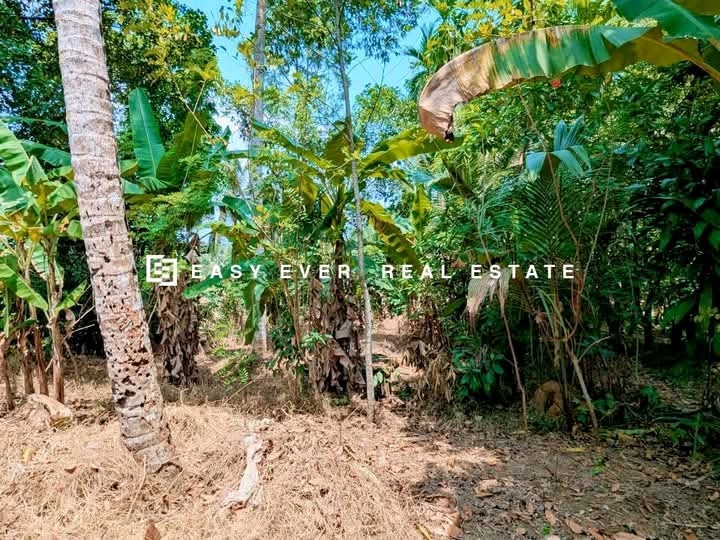 Commercial Land for Sale in Nittambuwa