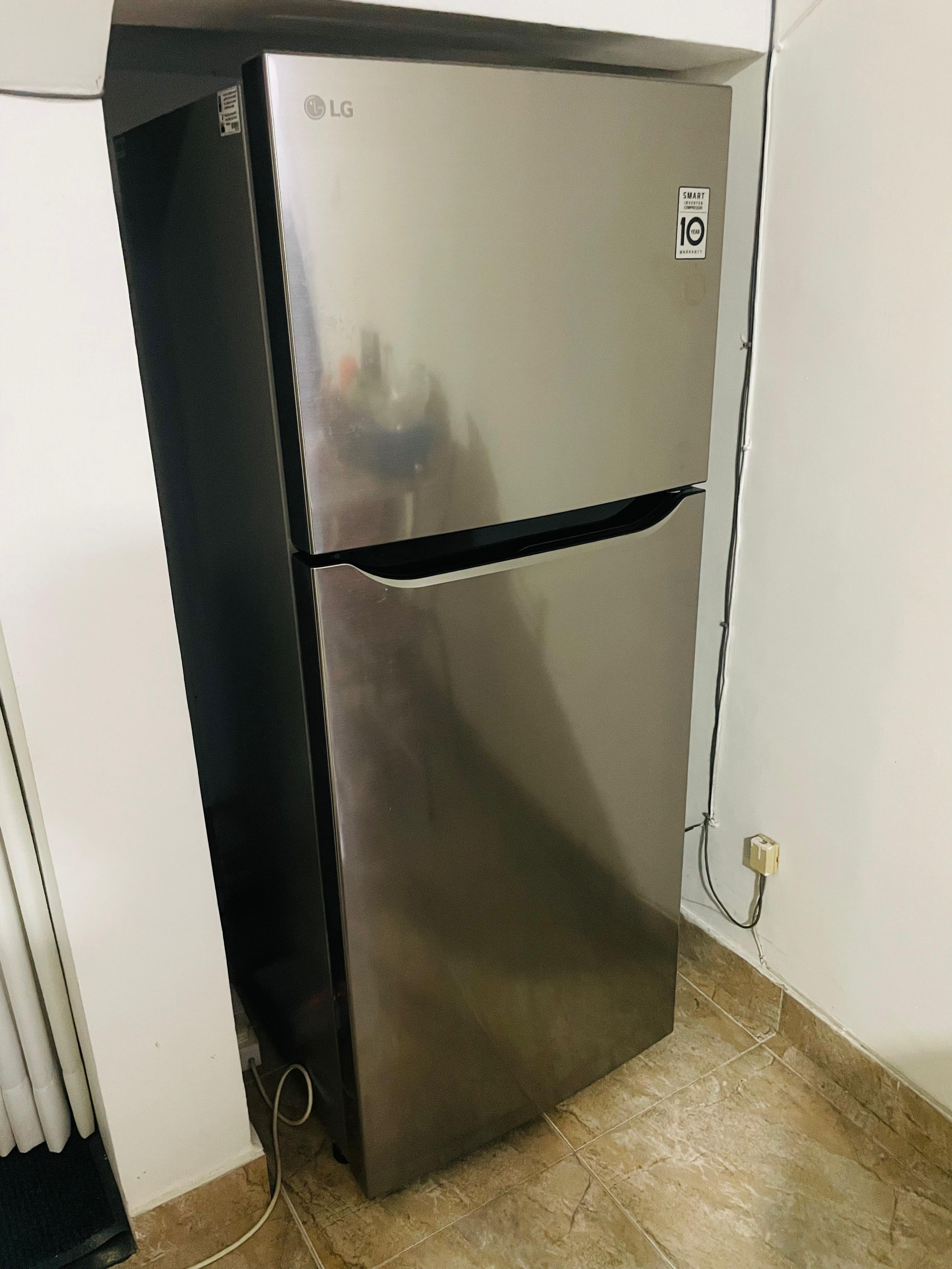 LG 260L Smart Inverter Frost Free Shiny Steel Fridge