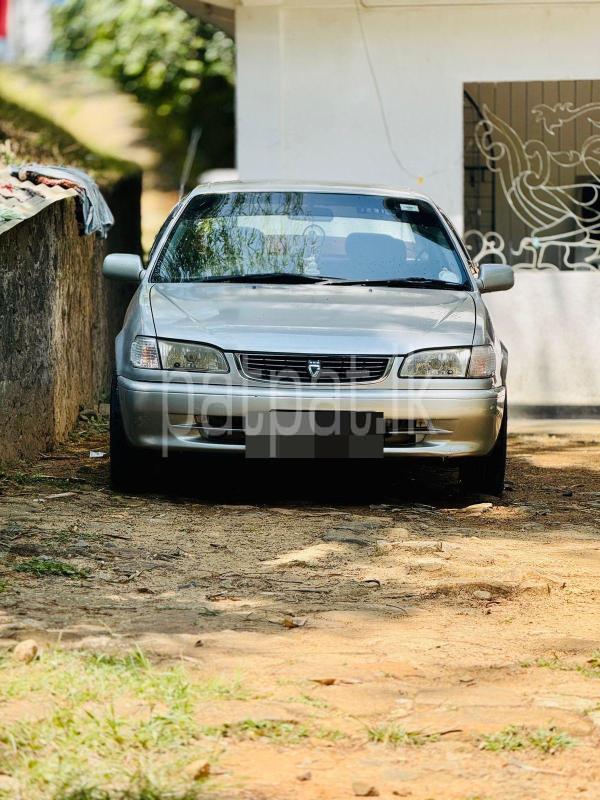 Advertisement image 1