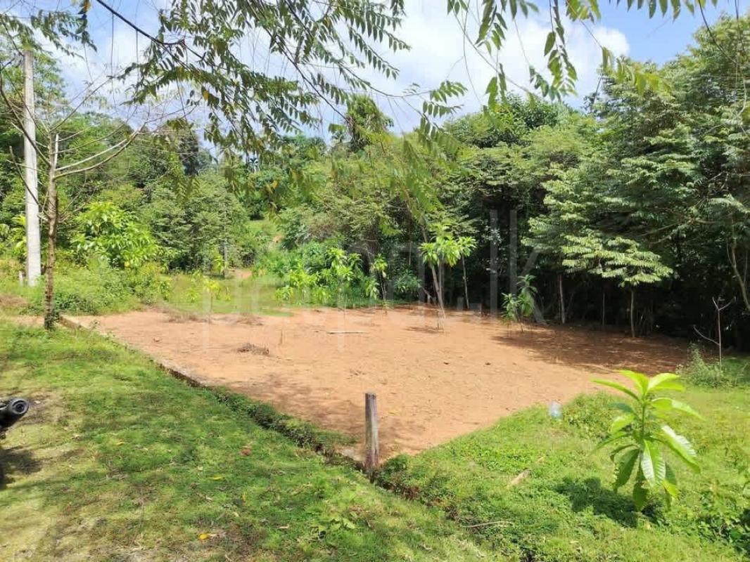 Residential Land for Sale in Nittambuwa