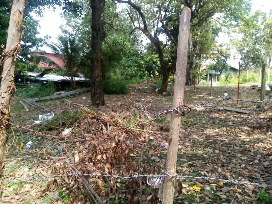 Commercial Land for Sale in Talawatugoda
