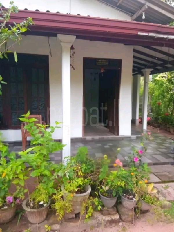 House for Sale in Panadura