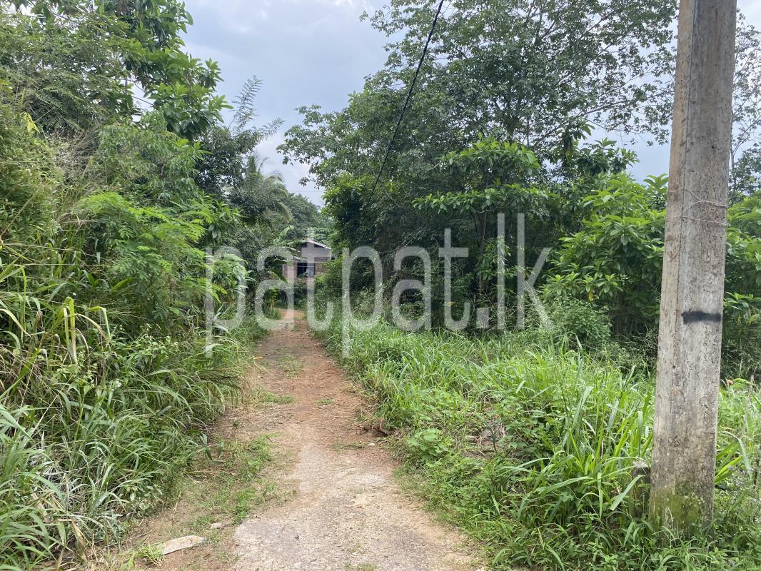 Advertisement image 1