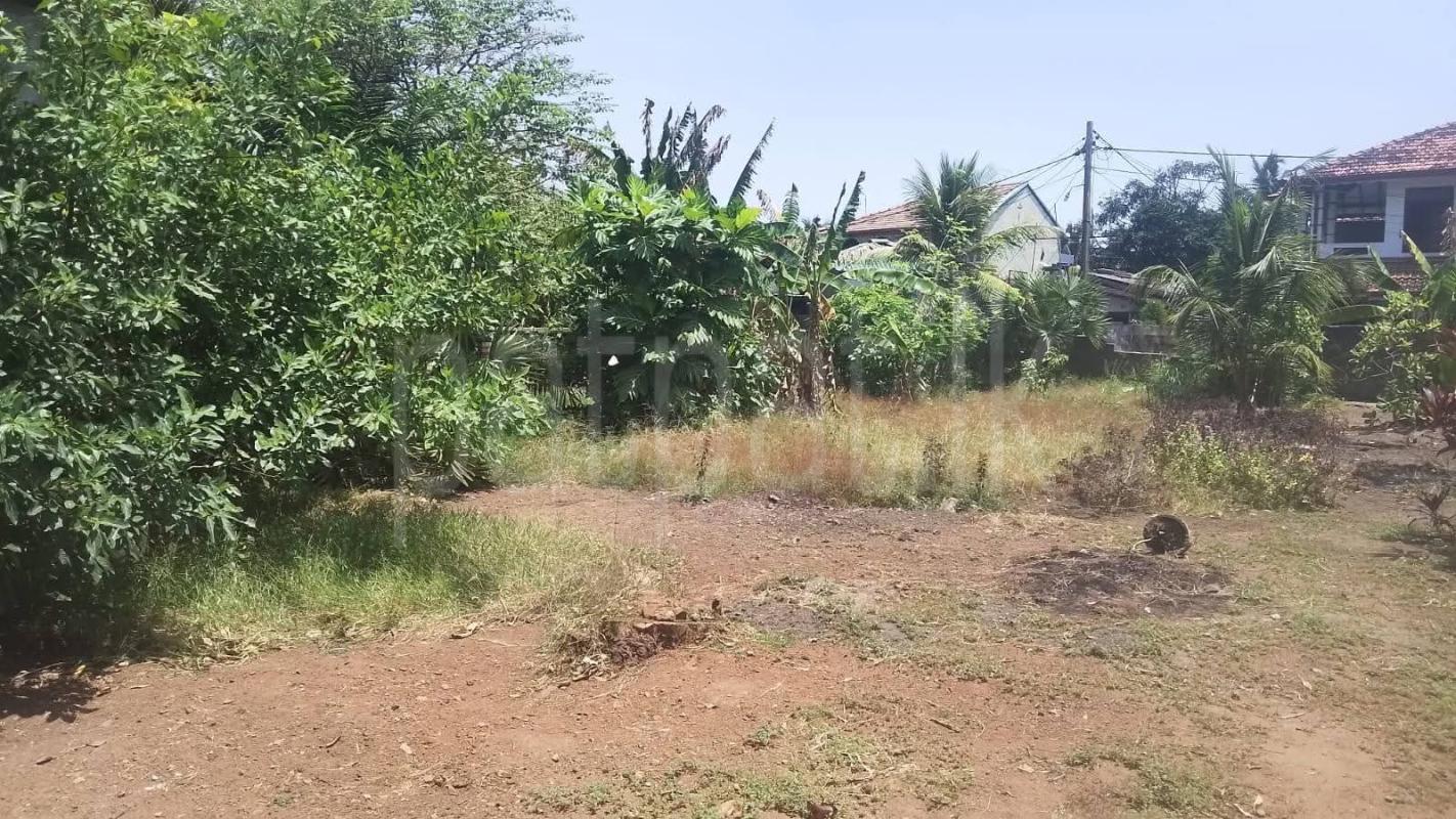 Agricultural Land for Sale in Negombo