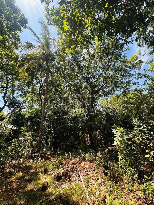 Residential Land for Sale in Kataragama