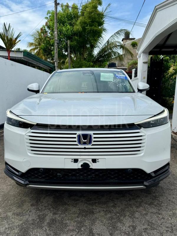 Advertisement image 1