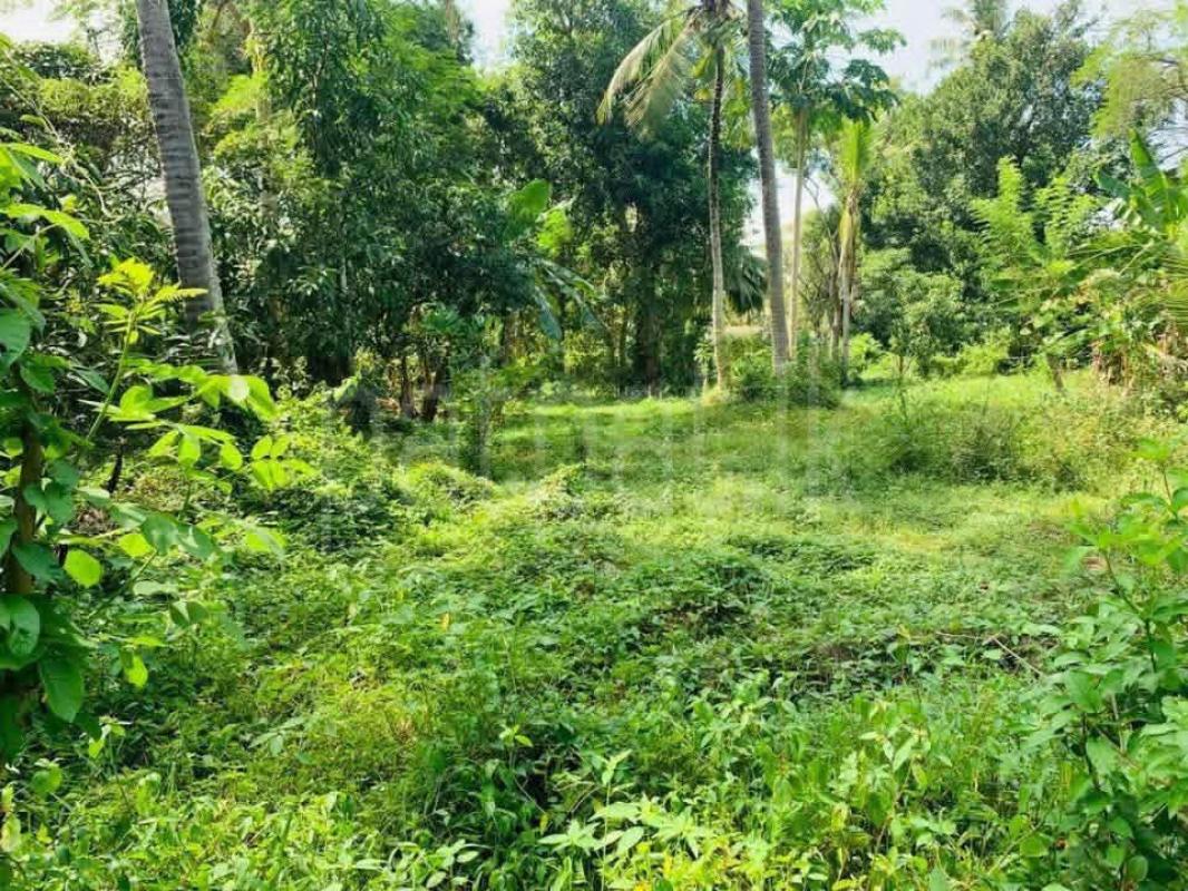 Agricultural Land for Sale in Embilipitiya