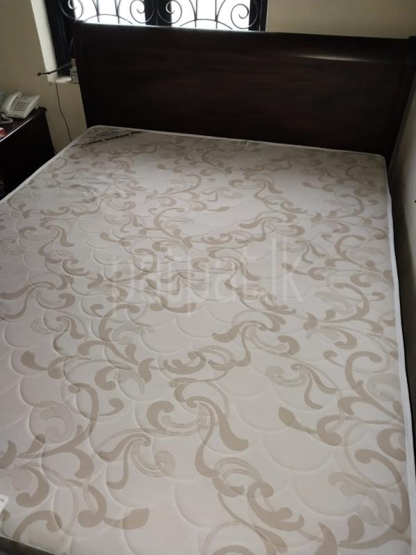 Don carolis Leena Double mahogany bed for the