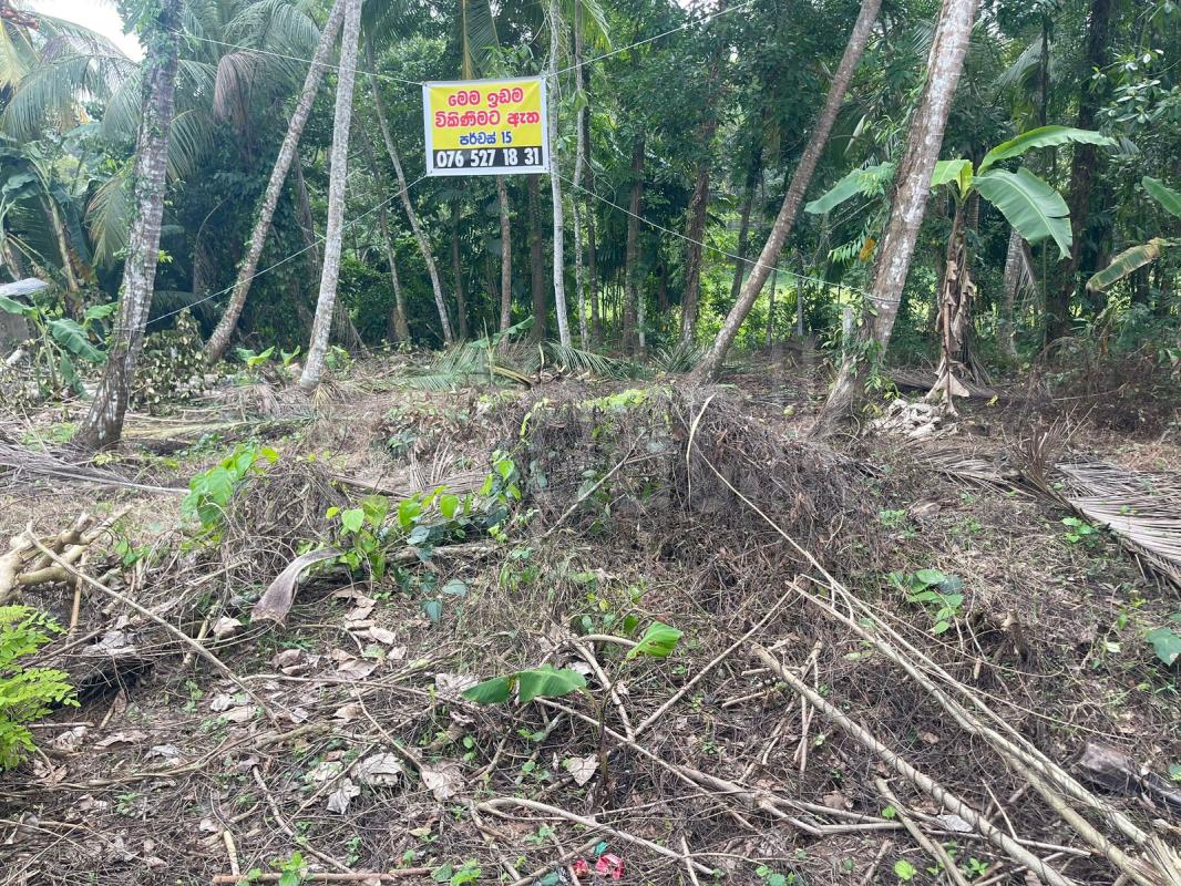 Advertisement image 1