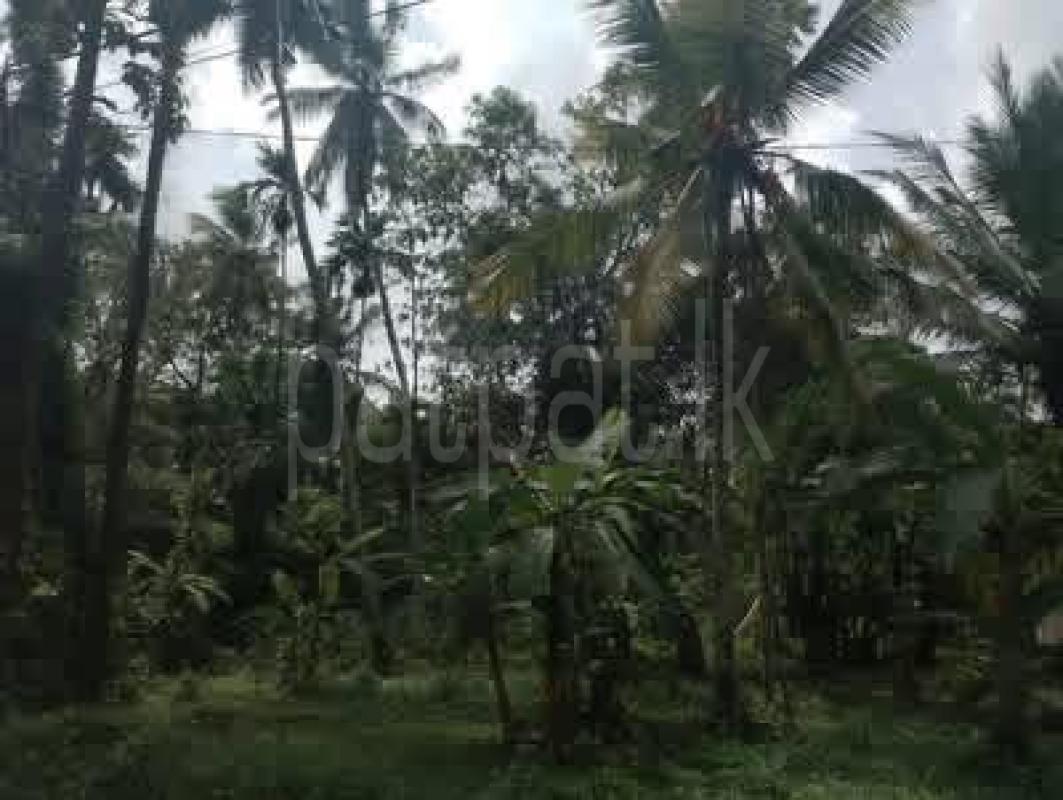 Residential Land for Sale in Divulapitiya