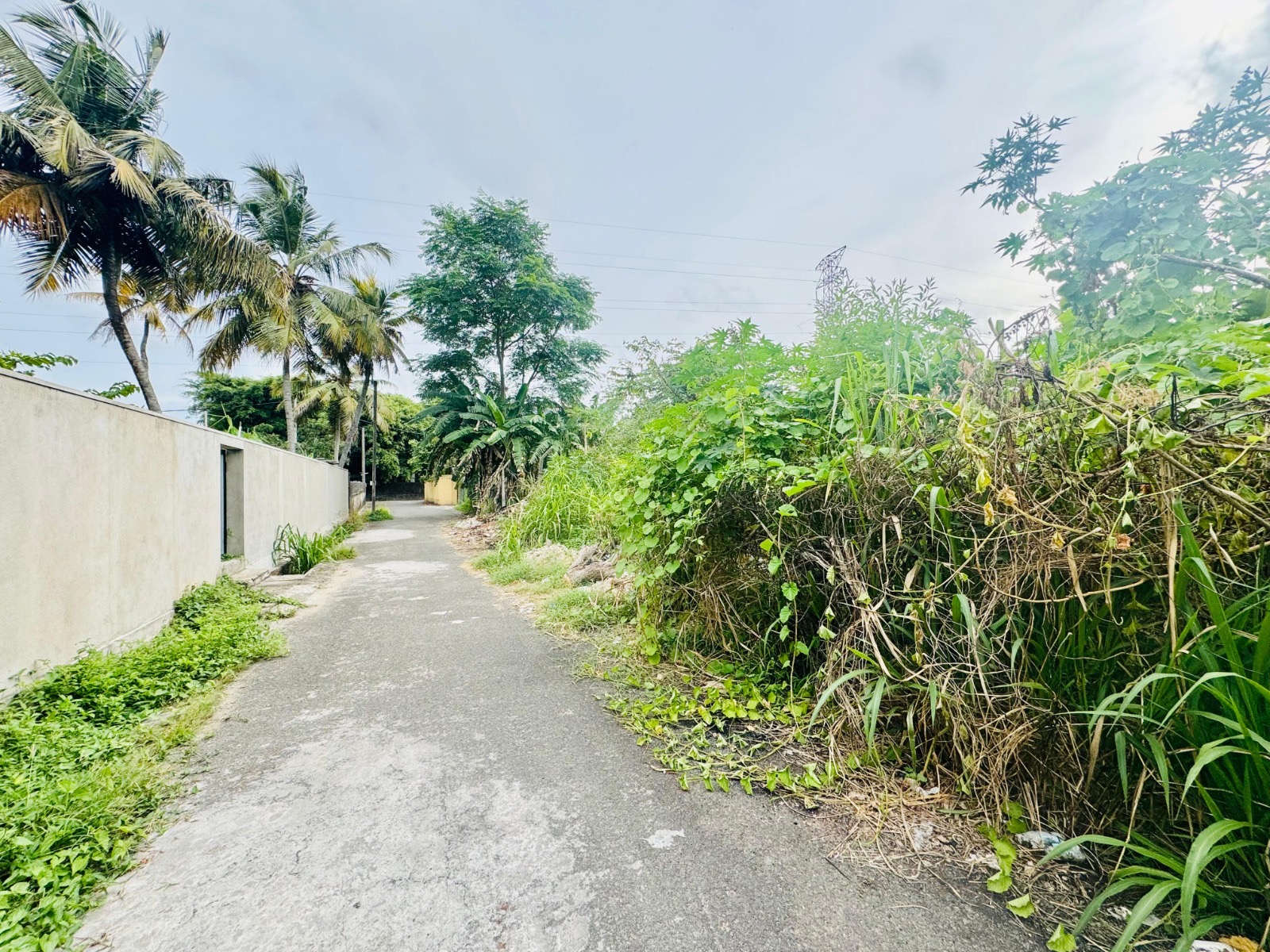 Commercial Land for Sale in Battaramulla