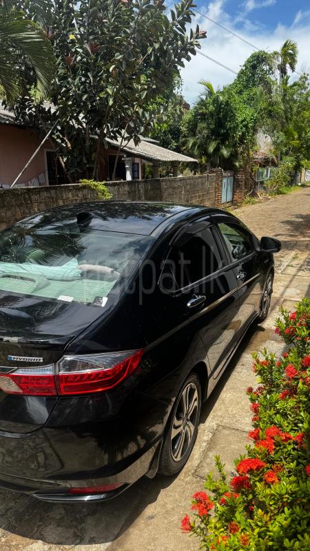 Advertisement image 5