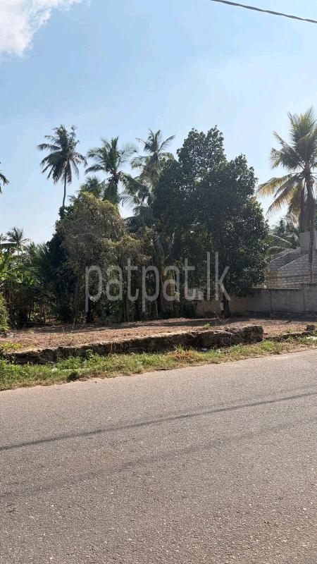 Commercial Land for Sale in Kottawa