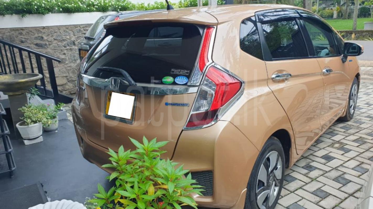 Advertisement image 2