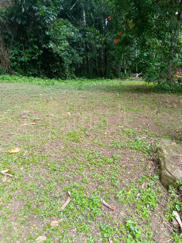 Agricultural Land for Sale in Pilimatalawa