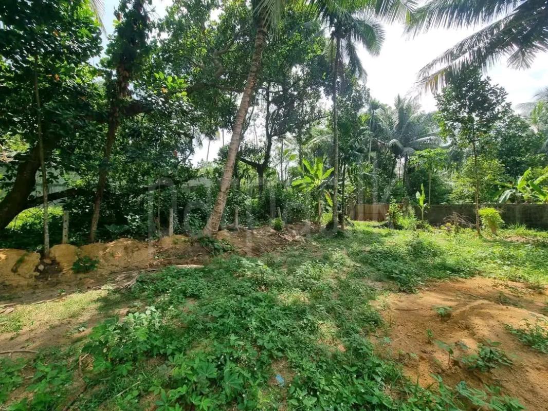 Agricultural Land for Sale in Ridigama ads-image-1