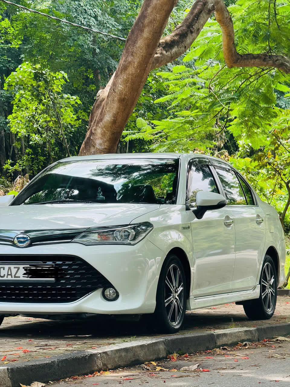 Toyota Axio 2017 - Used Car sale in Sri Lanka - patpat.lk