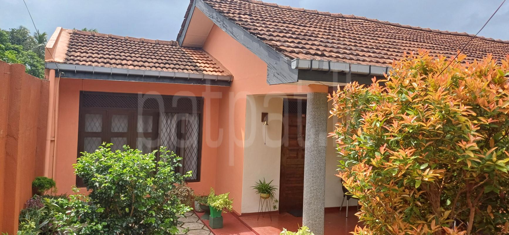 Seasonal Room for Sale in Piliyandala