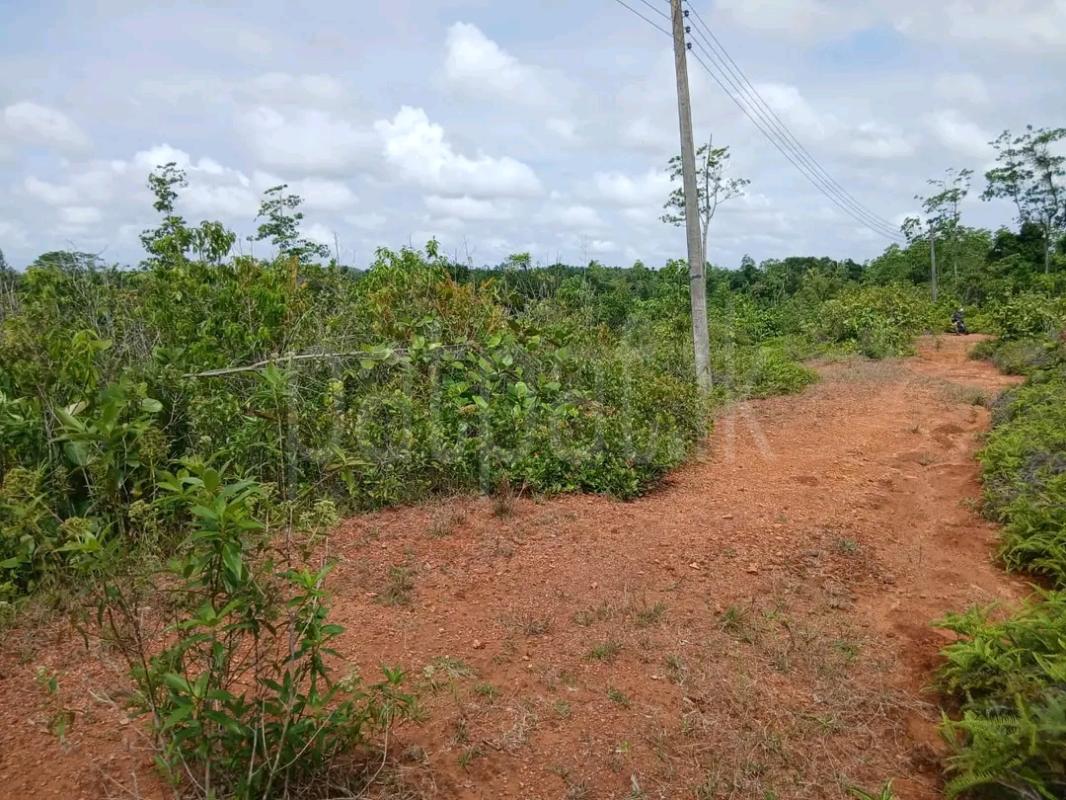 Agricultural Land for Sale in Kolonnawa