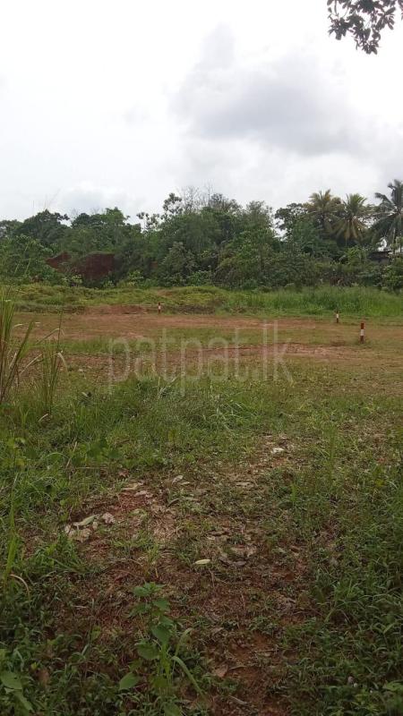 Agricultural Land for Sale in Kahathuduwa ads-image-1