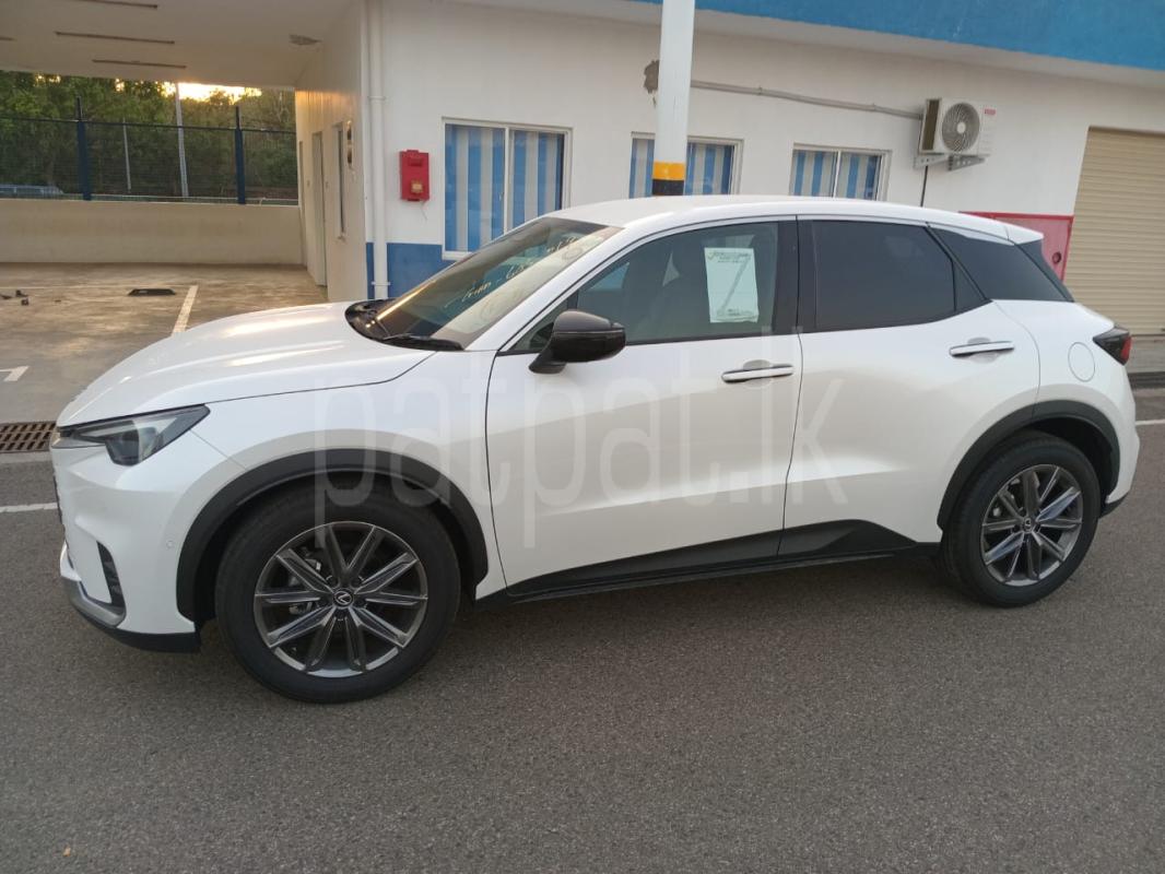 Advertisement image 4