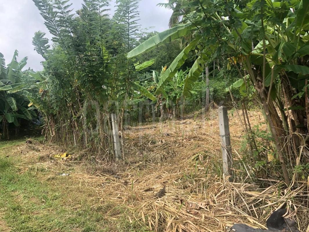 Residential Land for Sale in Ibbagamuwa