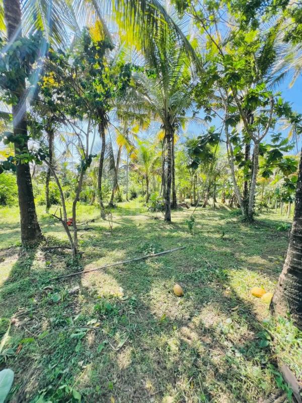 Commercial Land for Sale in Kurunegala ads-image-1