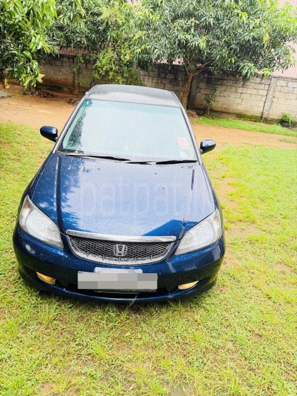 Advertisement image 1