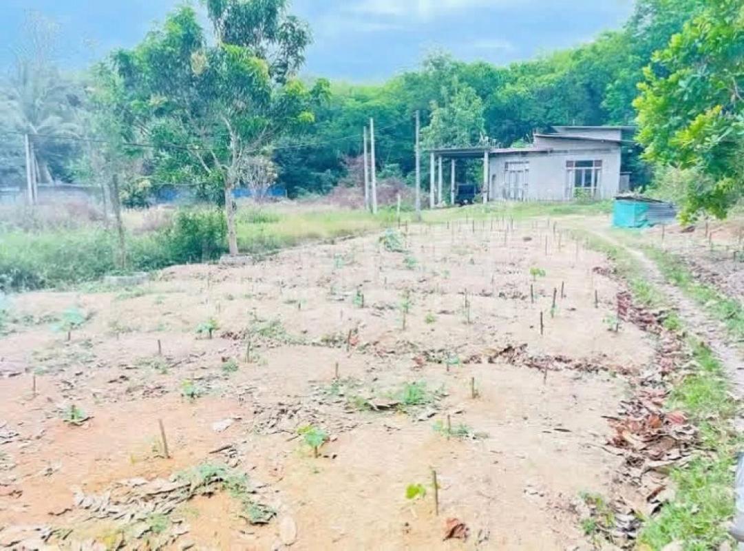 Commercial Land for Sale in Veyangoda ads-image-1