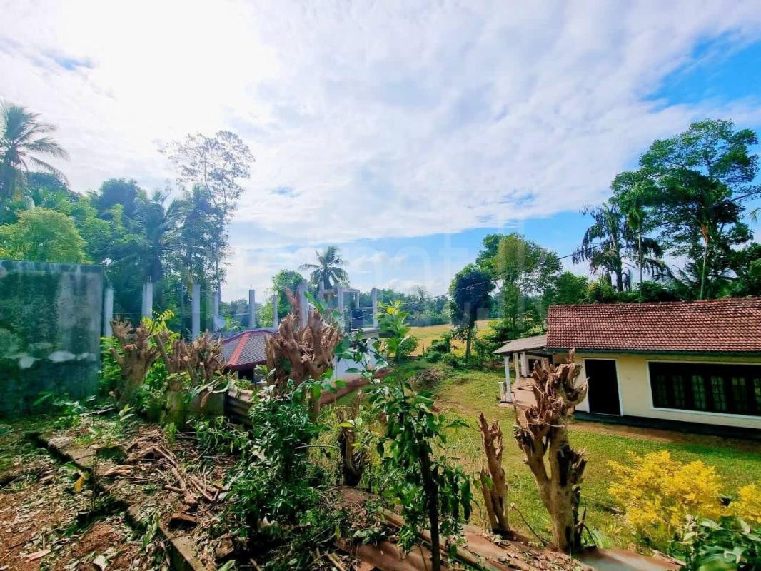 Residential Land for Sale in Yakkala ads-image-1